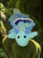 o8yRAiWV4hMffZOAyAKA8UQ0otAKGlJNYnevfGtplv-tiktokx-cropcenter-q300400q70-yXMCqI