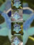 oIIDqFBexPtgEBXT5ADDhN1AEAmVWgPEuQfFRAtplv-tiktokx-cropcenter-q300400q70-982T3A