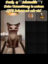 ociUmsx1AAzEBztAi76XoI6Az2CfIZ9bCwHoEBtplv-tiktokx-cropcenter-q300400q70-tBshpI
