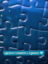 ogXeMQQQDjkRjDNqgEfQAMEnkFaIeTGIQnsj06tplv-tiktokx-cropcenter-q300400q70-RSqHWa