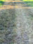 o8ADA20CmisXaCfNI1iB1iv8IhWjoZ99BzX4dItplv-tiktokx-cropcenter-q300400q70-pap4kl