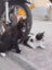 oUvDFRDfFQ2m8BmCXRSIABREx5dQQmFfQpwjSEtplv-tiktokx-cropcenter-q300400q70-pZgz2B