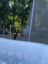 owR9EDAMA41IeCRquLmFEC9aIBufTBLoEQDsE0tplv-tiktokx-cropcenter-q300400q70-bZjSZh