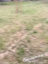 oUe6b0LEl0R3BISIIBFqAQsDQSmxCDcwfkOEygtplv-tiktokx-cropcenter-q300400q70-FbxoUN