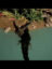 oQEYG0EQmOAFdEd3TuRGf6fO5uDPDBhIaAKpLptplv-tiktokx-cropcenter-q300400q72-2klz5p