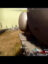 ocXtEB88URGffP8KD1LIgjGlIJAjs1CgQAeGMVtplv-tiktokx-cropcenter-q300400q70-Fzhzrw