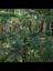 ooEqp4ULgAepBR4IQIF6BJmDhfZ3uSiEDEBUGQtplv-tiktokx-cropcenter-q300400q70-hQHejg